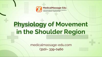 Self-Volume #2 Physiology of movement in the shoulder region