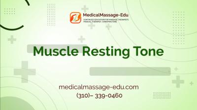 Muscle Resting Tone