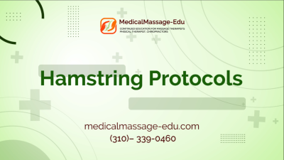 Hamstring Protocols