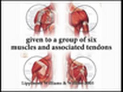 Shoulder pain injury rotator cuff self-treatment